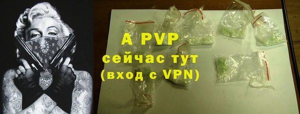 a pvp Гусев