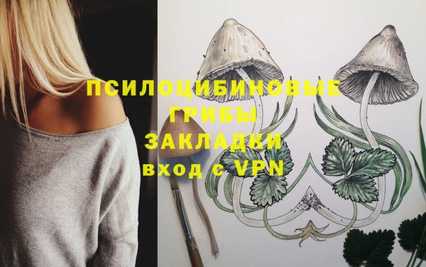 a pvp Гусев