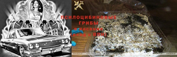 ешки Гусиноозёрск